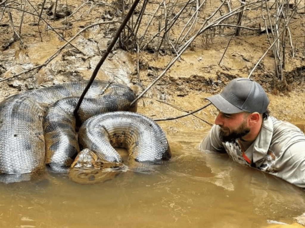 Una expedición al Amazonas: un aventurero descubre la colosal Anaconda, image size:1024x768