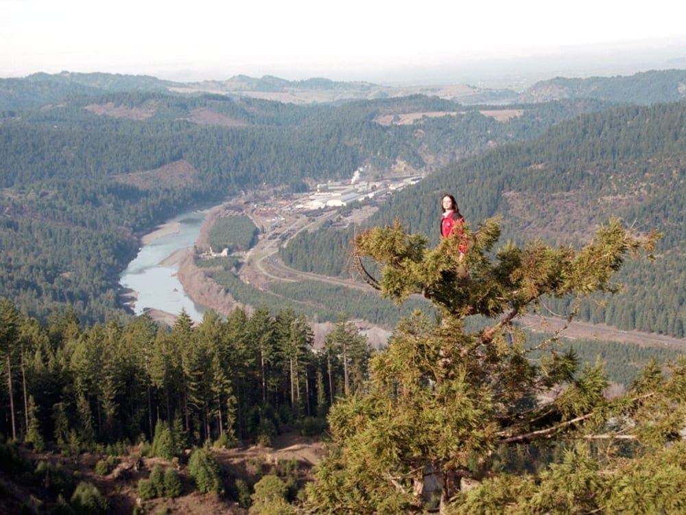 Julia Butterfly Hill standing atop a tree